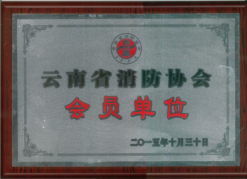 云南省消防協(xié)會.jpg
